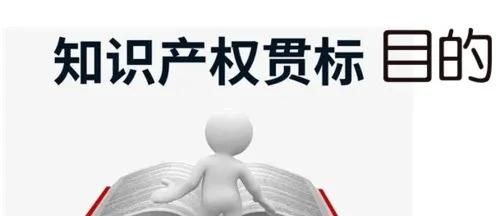 這邊看來(lái)！知識(shí)產(chǎn)權(quán)貫標(biāo)申請(qǐng)條件、流程、貫標(biāo)輔導(dǎo)周期一覽
