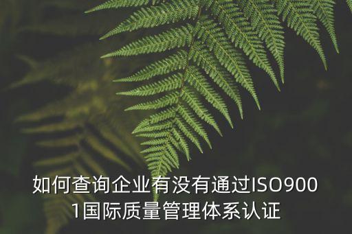 如何查詢企業(yè)有沒有通過ISO9001國(guó)際質(zhì)量管理體系認(rèn)證
