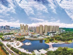 2024年深圳市知識產(chǎn)權領域?qū)ｍ椯Y金預告！
