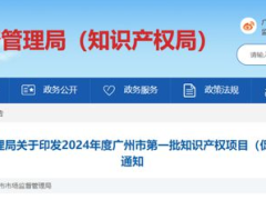 廣州啟動2024年度第一批知識產(chǎn)權(quán)項目（促進(jìn)類）申報，最高獎勵300萬！