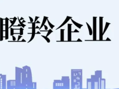 佛山瞪羚企業(yè)認(rèn)定條件、扶持政策最高補貼100萬