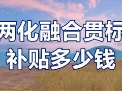 兩化融合貫標(biāo)補(bǔ)貼多少錢？兩化融合貫標(biāo)補(bǔ)貼條件？